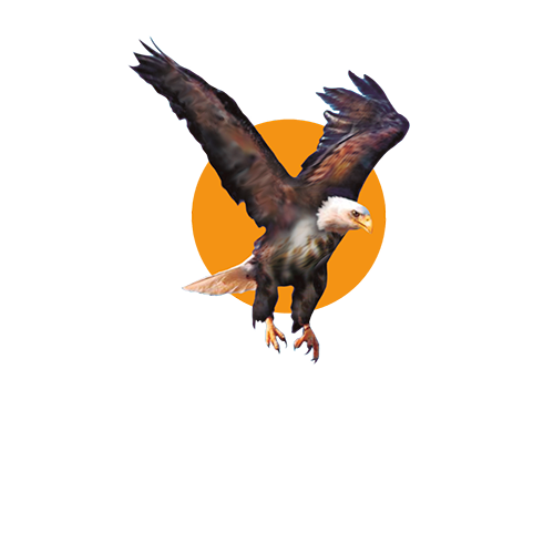 seguridad scanner seguridad privada y residencial